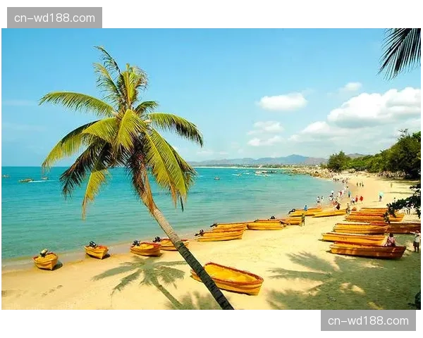 本季度目的地服务端正由单一门票经济向全时段赛事消费转变